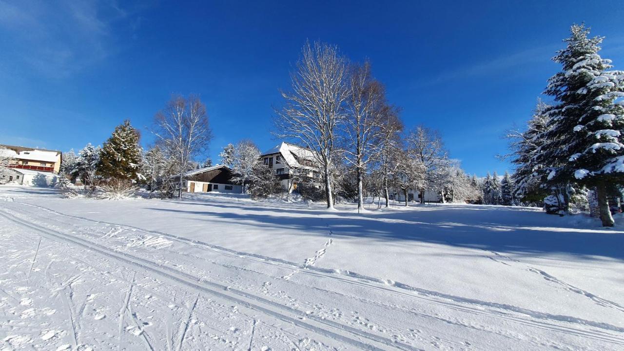 Haus Schoenblick Kniebis Buitenkant foto