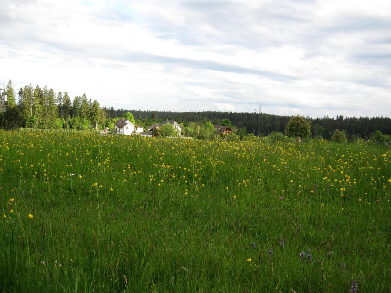 Haus Schoenblick Kniebis Buitenkant foto